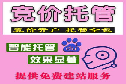 SEM广告投放策略：成功案例解析